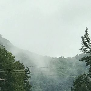 Meet your Posher, Randy